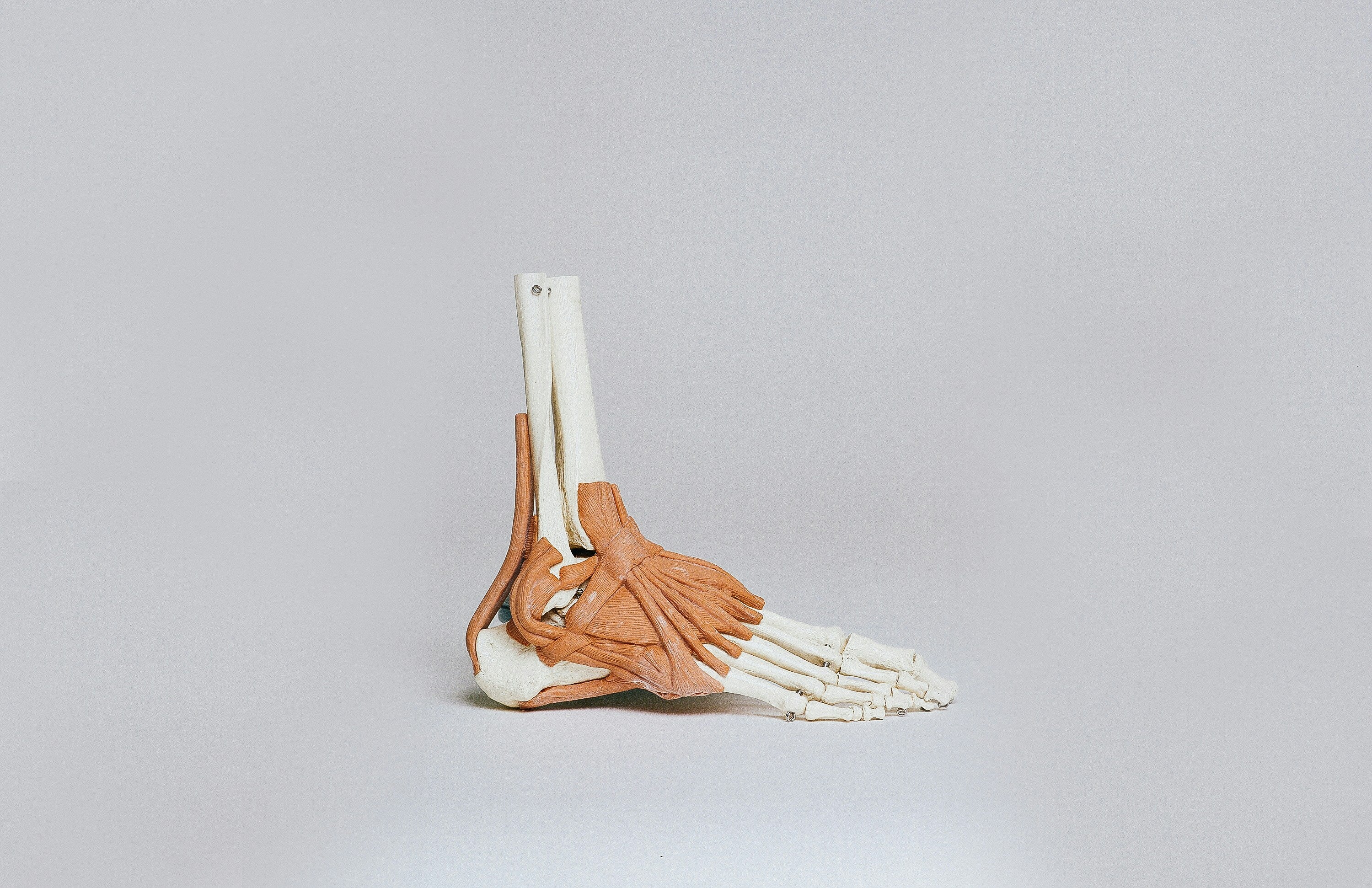 recolth-heel and foot