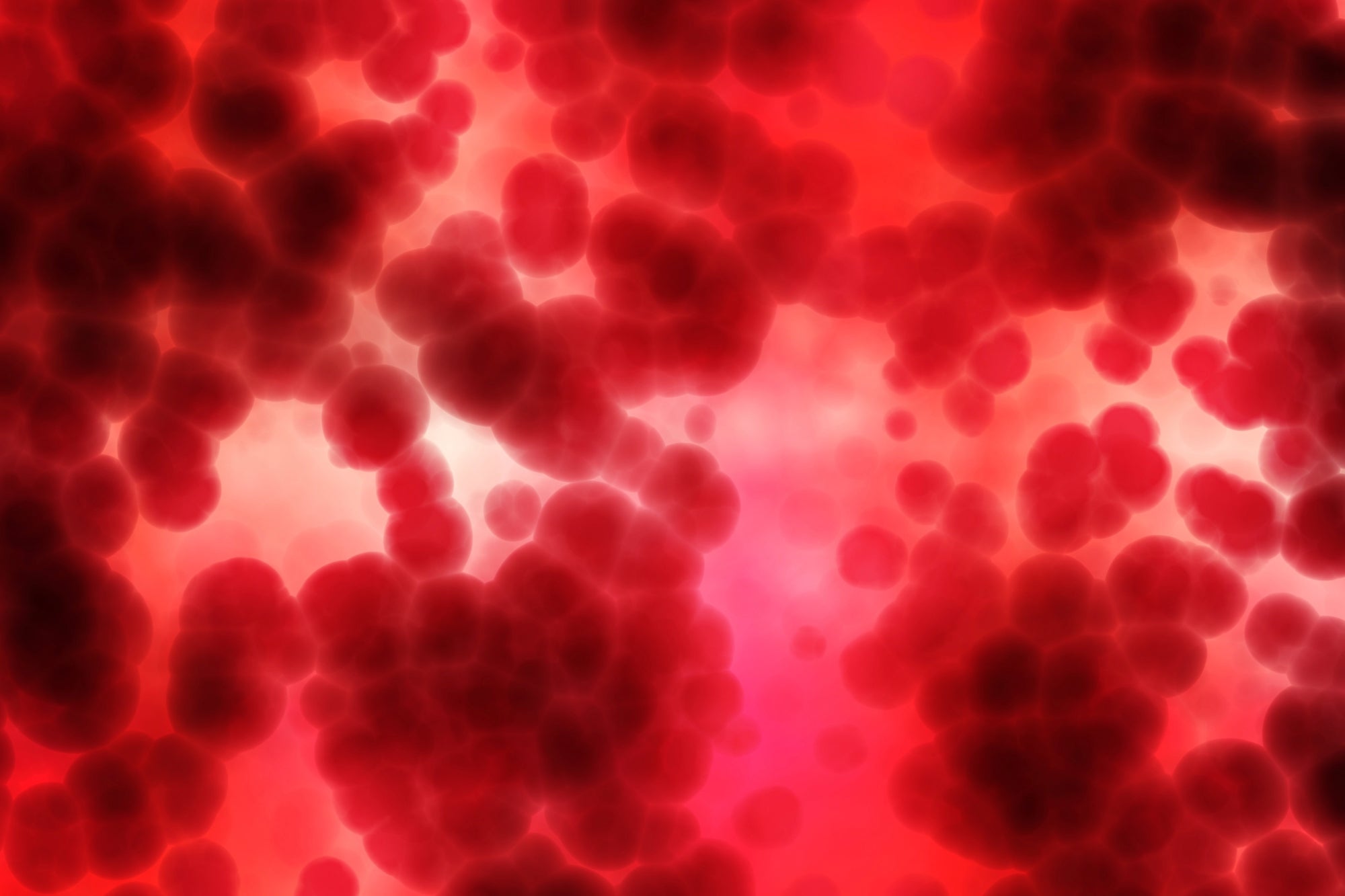 blood-science